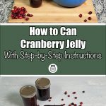 A kitchen scene shows a large pot of cranberry jelly being stirred next to a mason jar filled with jelly and a pile of cranberries on a wooden cutting board. Below, the text "How to Can Cranberry Jelly With Step-by-Step Instructions" is displayed against a green background with a small jar icon. At the bottom, two mason jars of cranberry jelly and a block of jelly on a plate with a knife are surrounded by scattered cranberries on a light-colored surface.