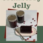 Two mason jars filled with cranberry jelly sit on a light-colored surface surrounded by scattered cranberries. In the foreground, a block of cranberry jelly is placed on a plate with a knife. The text "How To Can Cranberry Jelly" is displayed at the top against a beige background, with a small jar icon at the bottom.