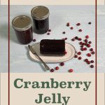 Two mason jars filled with cranberry jelly sit on a light-colored surface, surrounded by scattered cranberries. In the foreground, a block of cranberry jelly is placed on a plate with a knife. Above, the text reads "Water Bath Canning" and below, "Cranberry Jelly" against a beige background with a small jar icon at the bottom.