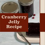 Two mason jars filled with cranberry jelly sit on a light-colored surface, surrounded by scattered cranberries. In the foreground, a block of cranberry jelly is placed on a plate with a knife. The text "Cranberry Jelly Recipe" appears in a brown box, with "PreservingGuide.com" at the bottom against a beige background.