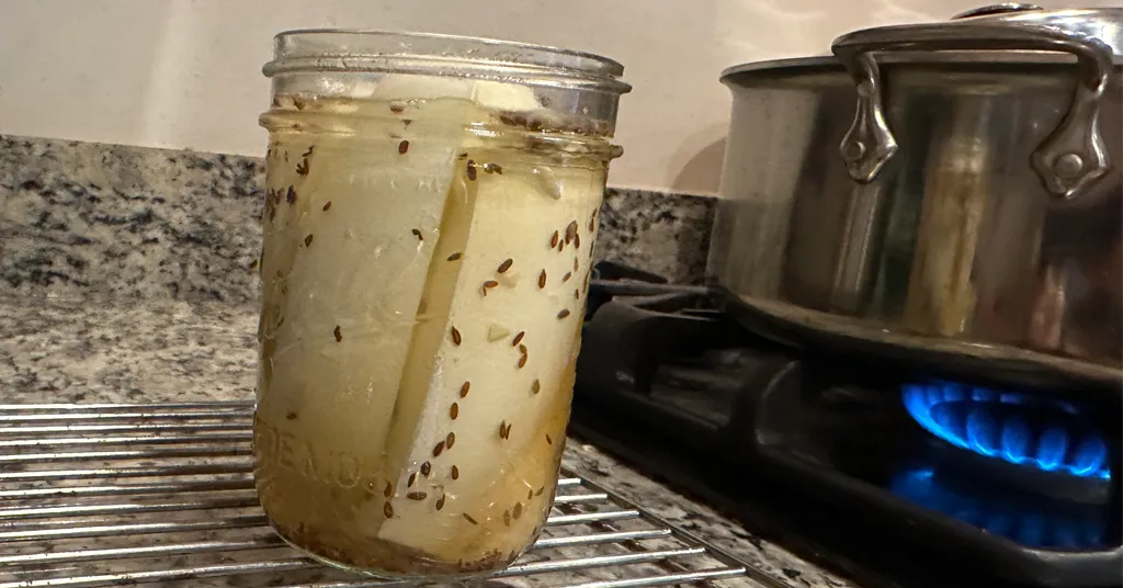 Mason jar being filled with dill pickle spears.