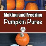 The image is divided into two sections. The top section shows chunks of pumpkin placed in a blue baking dish, ready to be cooked. The bottom section displays a whole pumpkin, a bowl of pumpkin puree, and a pumpkin pie on a dark surface. Between these two sections, there is a brown banner with white and light brown text that reads: "Making and Freezing Pumpkin Puree." Below the text, there is a small icon of a mason jar. This image likely serves as a visual for a guide on preparing and freezing pumpkin puree.