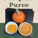 The image shows a whole pumpkin, a bowl of pumpkin puree, and a pumpkin pie on a dark surface. These items are placed in the lower portion of the image, which is framed by a beige and green background. Above the image, large green text reads: "How To Make and Freeze Pumpkin Puree." Below the main image, there is a small icon of a mason jar. This image is designed to visually represent a guide on both making and freezing pumpkin puree.