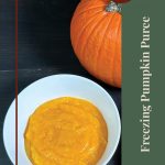 The image features a whole pumpkin and a bowl of pumpkin puree on a dark surface, with a minimalist and clean design. To the right, there is a vertical green banner with beige text that reads: "Freezing Pumpkin Puree." At the top of the banner, a brown circle contains the words "Tips & Tricks" in white. At the bottom of the image, a small mason jar icon is present. This image likely serves as a visual aid for a guide or article focused on tips and tricks for freezing pumpkin puree.