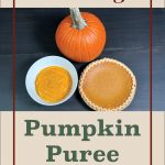 The image features a whole pumpkin, a bowl of pumpkin puree, and a pumpkin pie on a dark surface. The items are framed within a beige background with a thin red border. At the top of the image, in large brown text, the word "Freezing" is prominently displayed. Below the image, in large green text, the words "Pumpkin Puree" are shown. At the bottom center of the image, there is a small mason jar icon. This image is likely intended for a guide or tutorial on freezing pumpkin puree.