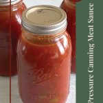 The image shows a close-up of three jars filled with pressure-canned meat sauce, sealed with metal lids. The jars are placed on a white surface. The image is bordered on the right with a green vertical bar, and inside it, white text reads: "Pressure Canning Meat Sauce." In the top right corner, a brown circle contains the words "Tips & Tricks." At the bottom, there's a small mason jar icon. This image is designed to highlight tips and tricks for pressure canning meat sauce.