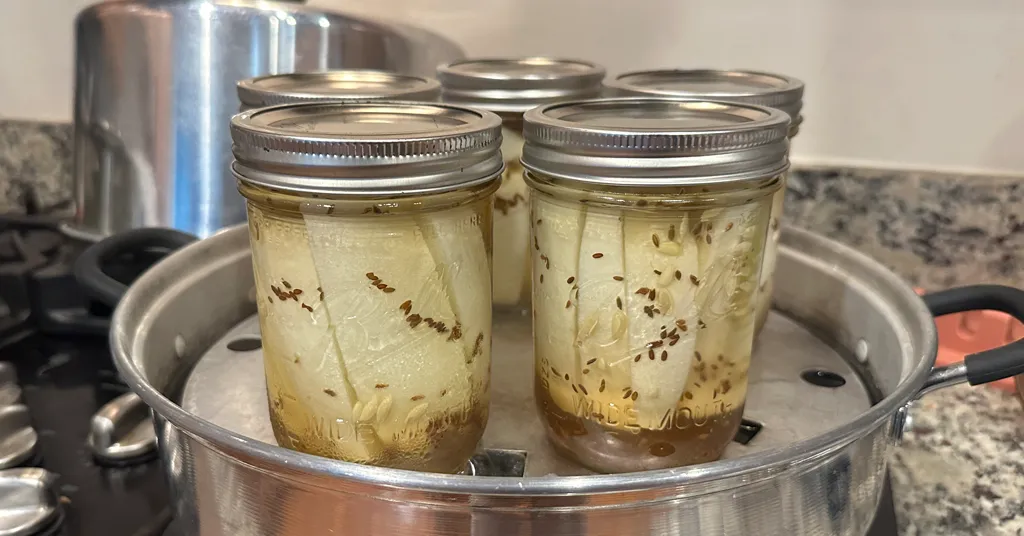 Five mason jars of dill pickle spears in a steam canner.