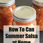 The image shows three jars of homemade summer salsa, sealed with metal lids, placed on a dark surface. The salsa inside the jars appears vibrant with chunks of tomatoes and other vegetables visible through the glass. The text overlay on the image reads, "How To Can Summer Salsa at Home," with the website "PreservingGuide.com" displayed below. The overall design emphasizes the freshness and homemade quality of canned salsa, with the text and jars centered to capture attention.