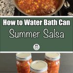 The image shows a large pot of summer salsa cooking on a stovetop. The salsa is a colorful mix of ingredients, including tomatoes, peaches, and pears, creating a vibrant, appetizing appearance. The text above the pot reads "How to Water Bath Can Summer Salsa," displayed on a green background. Below, three jars of the salsa, freshly canned and sealed, are placed on a dark surface, ready for storage. This image visually guides viewers on the process of preserving summer salsa through water bath canning.