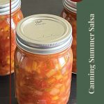 The image shows a close-up of three jars filled with vibrant summer salsa, made with ingredients like tomatoes, peaches, and onions, set against a dark background. The text "Canning Summer Salsa" runs vertically along the right side of the image, with a "Tips & Tricks" label in a circular design at the top. The image is framed with green and red borders, adding a decorative touch. This visual is part of a guide or tutorial offering practical advice on preserving summer salsa, emphasizing both the process and the freshness of the ingredients.