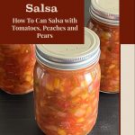 The image displays three jars of summer salsa with a mix of tomatoes, peaches, and pears, highlighted against a dark surface. The text reads "Summer Salsa" at the top, followed by "How To Can Salsa with Tomatoes, Peaches, and Pears" in the middle, giving clear instructions on the purpose of the image. The bottom includes the website name, "PreservingGuide.com." The design uses red and beige tones to frame the image, creating a clean and instructional appearance, perfect for a guide on canning salsa.