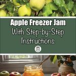 This image shows two sections. The top half features fresh green apples hanging from a tree, surrounded by leafy branches. The bottom half shows a jar of golden apple jam with a spoon, accompanied by a slice of toast topped with the same jam, with apples as background decor. The text reads, "Apple Freezer Jam With Step-by-Step Instructions," suggesting a detailed guide to making freezer jam.