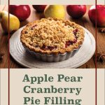 This image showcases a freshly baked apple, pear, and cranberry pie with a golden crumb topping, set on a rustic wooden table. The background features scattered apples and pears, enhancing the autumnal, homestyle theme. The top portion of the image includes the text "Water Bath Canning" in a simple serif font, and the lower section reads "Apple Pear Cranberry Pie Filling." At the bottom is a mason jar icon, emphasizing the focus on canning and food preservation.