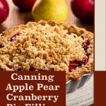 This image presents a warm and inviting baked apple, pear, and cranberry pie with a crisp crumble topping, surrounded by fresh apples and a pear on a rustic wooden background. The text "Canning Apple Pear Cranberry Pie Filling" in a bold serif font is placed in the lower portion, creating a focus on the pie and its filling. The bottom of the image features the website "PreservingGuide.com" to drive engagement. This design emphasizes the process of canning pie fillings, perfectly suited for homemade canning and preserving enthusiasts.