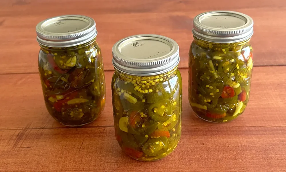 Three mason jars of Candied Jalapenos (Cowboy Candy) sitting on a wooden surface.