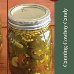 The image features a close-up of a single mason jar filled with candied jalapenos (Cowboy Candy) on a wooden surface. To the right, a green vertical banner includes the text "Canning Cowboy Candy" in white. At the top right, there is a red circle with the text "Tips & Tricks," and at the bottom, a small jar icon with a leaf design is centered.