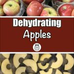 The image is a composite showing fresh apples in baskets at the top and slices of apples laid out on a dehydrator tray at the bottom. In the middle, there is a bold red banner with the text "Dehydrating Apples" and a small icon of a mason jar with leaves below the text.