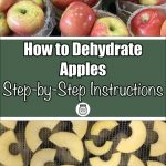 The image combines two photos: the top part shows fresh apples in baskets, and the bottom displays apple slices arranged on a dehydrator tray. In between, a green banner reads "How to Dehydrate Apples: Step-by-Step Instructions" with a small mason jar icon below the text.