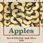 The image showcases apple slices laid out on a dehydrator tray, framed by a red border. The top text reads "Dehydrating," and below it, in larger text, "Apples" is displayed prominently. At the bottom, additional text says "How to Dehydrate Apple Slices. With Step-by-Step Instructions." A small mason jar icon is positioned at the very bottom center.