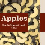 The image shows apple slices laid out on a dehydrator tray, with a red rectangular overlay in the center. The text within the overlay reads "Apples" in large, bold letters, followed by "How To Dehydrate Apple Slices" in a smaller font. At the bottom of the image, the website link "PreservingGuide.com" is displayed.