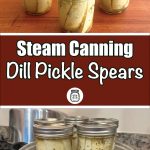 The image is divided into two sections. The top section shows three mason jars filled with dill pickle spears on a wooden surface. The bottom section features a brown banner with the text "Steam Canning Dill Pickle Spears" in white and green, accompanied by a small jar icon. Below the banner, the jars of dill pickle spears are placed inside a steam canner on a stovetop, demonstrating the canning process.