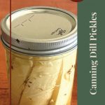 The image shows a close-up of a mason jar filled with dill pickle spears on a wooden surface. On the right side, there is a green vertical banner with the text "Canning Dill Pickles" in white. At the top right, a red circle reads "Tips & Tricks," and at the bottom center, there is a small jar icon with a leaf design. This design is part of a guide providing tips and tricks for canning dill pickles.