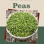 This image presents a simple and clean design for a guide on freezing fresh peas. The main visual is a bowl filled with fresh, shelled peas placed on a granite countertop, slightly tilted within the layout. Above the image, bold text reads “How To Freeze Fresh Peas,” with a color scheme of muted greens and cream tones. A mason jar icon is placed at the bottom, symbolizing food preservation. The overall aesthetic is minimalistic and instructional, promoting a guide on freezing peas at home.