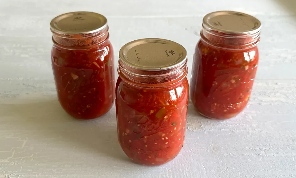 Three mason jars of fresh vegetable salsa that have been canned sitting on a pale blue surface.