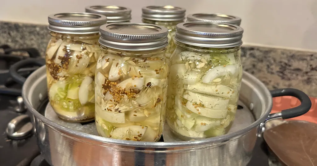 Six mason jars of hamburger dill pickle slices with spices in a steam canner.