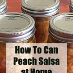 The image shows several mason jars filled with homemade peach salsa on a wooden surface. Overlaid text reads, "How To Can Peach Salsa at Home" with the website "PreservingGuide.com" below, suggesting a guide or tutorial on home canning peach salsa.