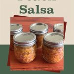 The image shows a graphic design with a central photo of five mason jars filled with homemade peach salsa, placed on a wooden surface. Above the photo, the text reads "How To Can Peach Salsa" in a bold, clear font. A small jar icon is displayed at the bottom of the image, adding a decorative touch. The overall design suggests a tutorial or guide on canning peach salsa.