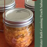 The image shows a close-up of mason jars filled with homemade peach salsa on a wooden surface. On the right side, there is vertical text that reads "Water Bath Canning Peach Salsa" with a circular label at the top saying "Tips & Tricks." A small jar icon is displayed at the bottom, reinforcing the theme of preserving food. The layout suggests useful advice or a guide for canning peach salsa using the water bath method.