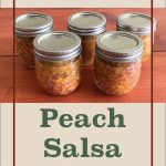 The image displays a clean and simple layout featuring five mason jars filled with peach salsa arranged on a wooden surface. The text "Water Bath Canning" is prominently placed above the jars, while "Peach Salsa" is centered below them in large, bold lettering. A small jar icon is included at the bottom, reinforcing the theme of home canning and food preservation. The design suggests a straightforward guide or instructions for water bath canning peach salsa.