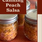 The image shows a close-up of several mason jars filled with homemade peach salsa on a wooden surface. The text "Canning Peach Salsa" is prominently displayed in a bold font against a brown background, creating a visually striking contrast. At the bottom of the image, the website "PreservingGuide.com" is mentioned, suggesting this is an informative guide or article on the process of canning peach salsa.