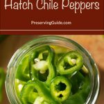 The image is divided into two sections. The top section features a brown banner with bold white and beige text reading "How To Can Hatch Chile Peppers" and "PreservingGuide.com." The bottom section shows a top-down view of a jar filled with sliced green Hatch chile peppers, highlighting their vibrant color and freshness. This image serves as a guide for canning Hatch chile peppers, offering a visual and informative introduction to the canning process.