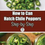 The image is divided into three sections. The top section shows a pile of freshly sliced green Hatch chile peppers on a white surface, displaying their bright color and crisp texture. The middle section features a brown banner with bold white text reading "How to Can Hatch Chile Peppers Step-by-Step," along with a small jar icon below. The bottom section displays a close-up of two jars filled with sliced Hatch chile peppers, emphasizing the canning process. This layout provides a step-by-step visual guide for canning Hatch chile peppers.