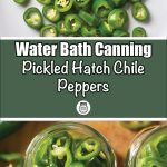 The image is divided into three sections. The top section shows freshly sliced green Hatch chile peppers on a white surface, showcasing their vibrant green color and texture. The middle section features a green banner with bold white text that reads "Water Bath Canning Pickled Hatch Chile Peppers," accompanied by a small jar icon below. The bottom section displays a close-up of two jars filled with pickled Hatch chile peppers, providing a detailed view of the canning process. This layout visually guides viewers on how to water bath can pickled Hatch chile peppers.