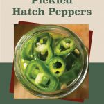 The image features a centered top-down view of a jar filled with vibrant green sliced Hatch chile peppers, highlighting the freshness and texture of the peppers. The background is a combination of beige and green tones, with overlapping red accents adding visual depth. At the top, bold text reads "How To Can Pickled Hatch Peppers," with the words "Pickled Hatch Peppers" in green and "How To Can" in red. At the bottom center, there is a small jar icon with a leaf design, reinforcing the theme of home canning and preserving.