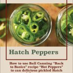 The image shows a jar filled with sliced green Hatch chile peppers, showcasing their vibrant color and texture. Above the jar, the text "Water Bath Canning" is displayed in bold, maroon letters on a beige background, emphasizing the preservation method. Below the image, the words "Hatch Peppers" appear in large, green font, followed by a description explaining how to use the "Ball Canning 'Back to Basics'" recipe for canning pickled Hatch chile peppers. A small jar icon with a leaf design is placed at the bottom center, adding to the canning theme.