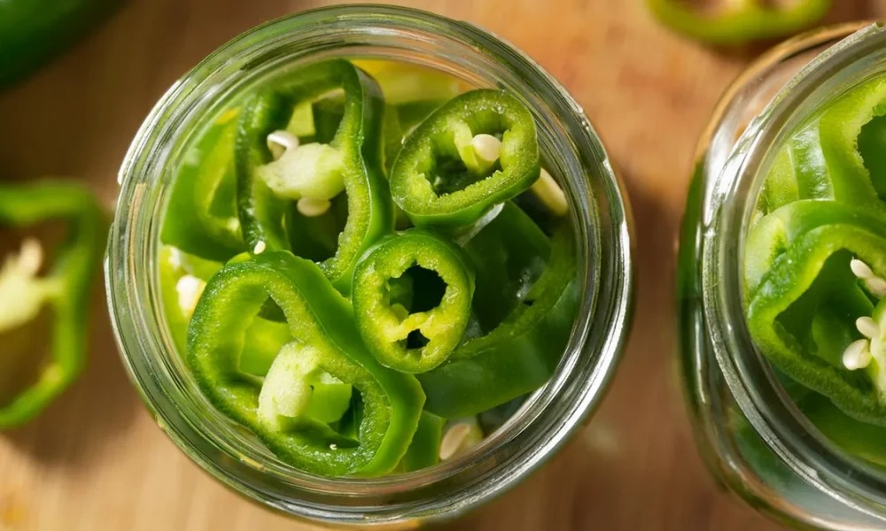 Pickled Hatch Peppers rings in a mason jar prepared to be pickled for canning.