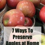 The image features a close-up of fresh red apples in baskets, with an overlaid text that reads, "7 Ways To Preserve Apples at Home" and a website address, "PreservingGuide.com." The image is likely a promotional or informational graphic for a guide on preserving apples.