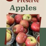 The image features a collection of fresh red apples in baskets at the center, surrounded by a beige and green background. The text above the apples reads, "7 Ways to Preserve Apples" in a combination of red and green fonts. A circular icon of a jar is placed at the bottom center, further emphasizing the theme of preserving apples. This image likely serves as an informative graphic for a guide on different methods to preserve apples.