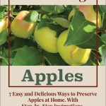 The image features a close-up of yellow-green apples on a tree with green leaves, framed by a beige background. The top text reads "Preserving" in red, while the bottom text reads "Apples" in green. Below the image, there is additional text stating, "7 Easy and Delicious Ways to Preserve Apples at Home. With Step-by-Step Instructions." A small jar icon is centered at the bottom, reinforcing the theme of preserving apples. This graphic is likely promoting a guide on apple preservation techniques.