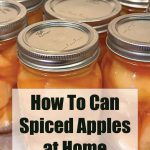 This image shows several mason jars filled with spiced apples, ready for canning. The jars are sealed with metal lids and are arranged neatly on a tray, suggesting a home canning process. Overlaid on the bottom part of the image is text that reads, “How To Can Spiced Apples at Home,” followed by “PreservingGuide.com,” indicating an instructional guide on the canning process for spiced apples. The image conveys a practical and homemade approach to food preservation.