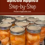 This image shows several mason jars filled with spiced apple slices, all sealed and neatly arranged in a canning tray. At the top of the image, a brown banner features bold white text that reads, “How To Can Spiced Apples Step-by-Step,” followed by “PreservingGuide.com.” The image promotes a step-by-step guide for canning spiced apples, highlighting the practical and homey aspect of food preservation. The overall design is clean and instructional, emphasizing the simplicity of the canning process.