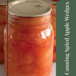 This image showcases a close-up of a mason jar filled with spiced apple wedges, with other jars slightly visible in the background. A vertical green banner on the right side features the text “Canning Spiced Apple Wedges” in an elegant font. At the top of the banner, a red circular icon says “Tips & Tricks,” offering additional guidance for the canning process. A mason jar icon at the bottom reinforces the preservation theme. The design is visually appealing and practical, perfect for an instructional guide on canning spiced apple wedges.