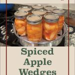 This image showcases jars of spiced apple wedges neatly arranged in a steam canning setup. The text at the top reads "Steam Canning" in bold, burgundy font, while below the image, "Spiced Apple Wedges" is centered in a clean green font. The layout is framed with thin red lines, and a mason jar icon at the bottom emphasizes the food preservation theme. The overall design is instructional and visually clean, perfect for promoting a guide on steam canning spiced apple wedges.