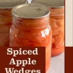 This image features three mason jars filled with spiced apple wedges, sealed and ready for storage. A red-brown banner overlays the bottom part of the image, containing the bold text “Spiced Apple Wedges.” Below the banner, the website "PreservingGuide.com" is written, reinforcing the focus on home preservation. The overall design is simple yet informative, promoting the process of canning spiced apple wedges with a clean and practical aesthetic.