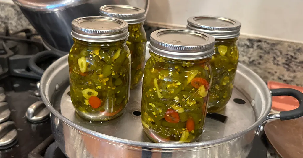 Four mason jars of candied jalapenos sitting in a steam canner about to be steam canned for long term storage.