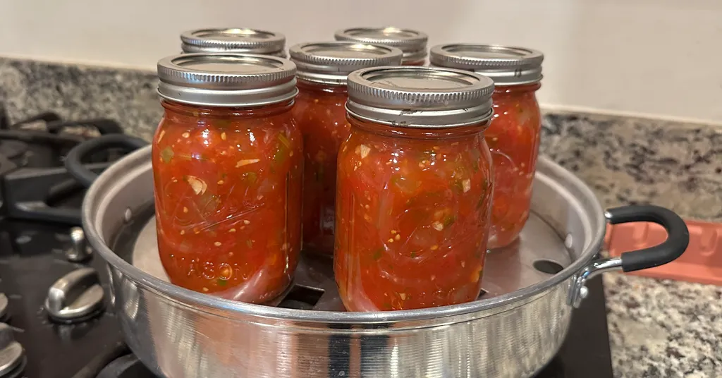 Six mason jars of fresh vegetable salsa sitting in a steam canner.